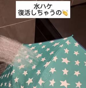 「こんなに簡単だとは」「やってみる」　使い古した傘の撥水力を簡単に復活させる方法