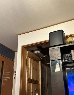 「きゃあああ！」「怖い…」　ホラー映画から目をそらすと？