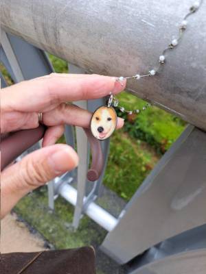 「こんな結末はまったく想像していなかった」　『亡き愛犬のペンダント』を紛失したら、後日？