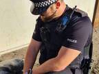 「強盗パトロール中の警官のハートが盗まれた」　イギリス警察の投稿に心温まる