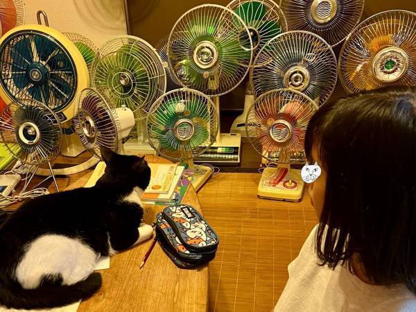 「眺めていると、１日がすぐに終わりそう」　宿題を忘れるほど、娘が釘付けになっていたのは？