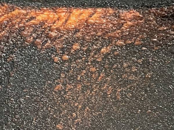 失敗作をネットに公開　「お借りします！」「ちょうど求めていた」感謝の声が集まったワケ