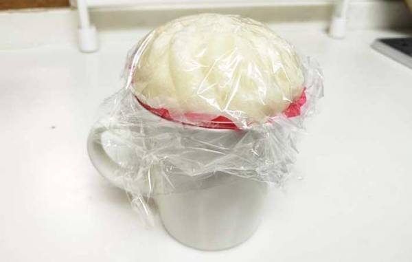 『５５１蓬莱』に聞いた！　あの『豚まん』をおいしく温め直すコツに「その手があったか」