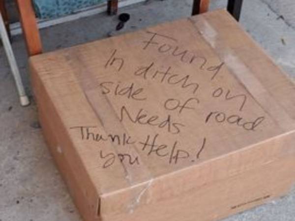 建物の入口に置かれた大きな箱　中に入っていたのは…「かわいそうに」「悲しいね」