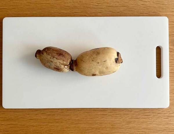 レンコンが『ポテチ』みたいに食べられる！　全農のレシピに「コレは簡単」「作りたい」