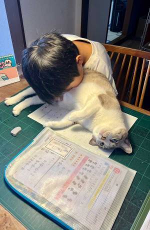 ガッツリ集中する小学生　取り組んでいるのは宿題…ではなく？