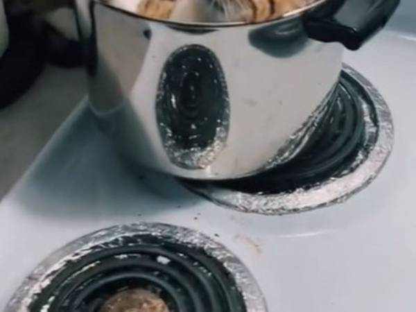 「もっと大きなサイズの鍋が必要」　パスタをゆでようとした男性が鍋を見ると…？