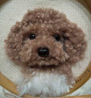 「気付かなかった」「違うの！？」　トイプードルお迎え３周年を記念して、飼い主が縫い物に挑戦