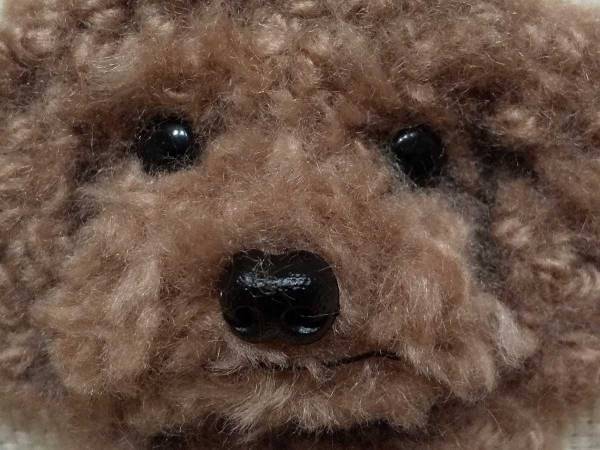 「気付かなかった」「違うの！？」　トイプードルお迎え３周年を記念して、飼い主が縫い物に挑戦