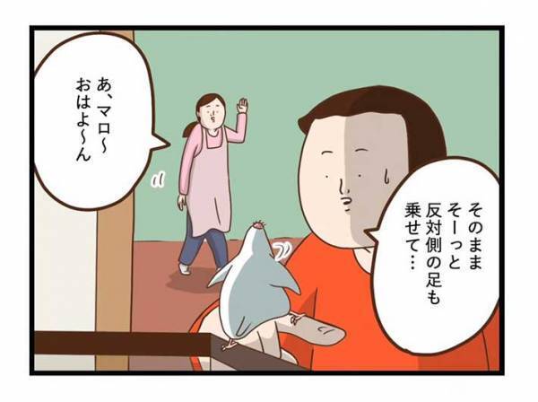 飼い主が愛鳥の『カゴ』を見て驚いたワケとは？　「笑った」「インコあるある」