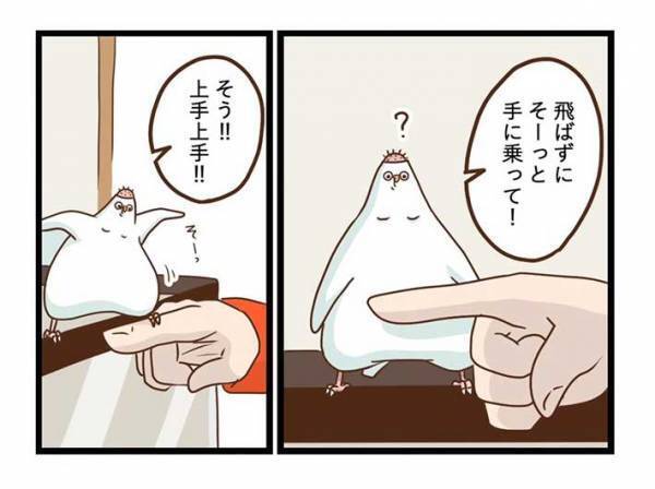 飼い主が愛鳥の『カゴ』を見て驚いたワケとは？　「笑った」「インコあるある」