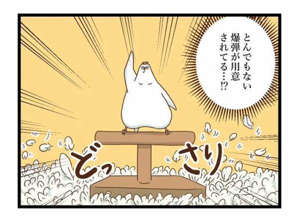 飼い主が愛鳥の『カゴ』を見て驚いたワケとは？　「笑った」「インコあるある」