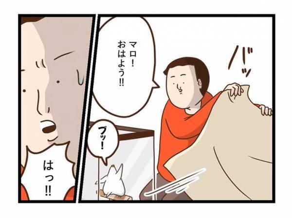 飼い主が愛鳥の『カゴ』を見て驚いたワケとは？　「笑った」「インコあるある」