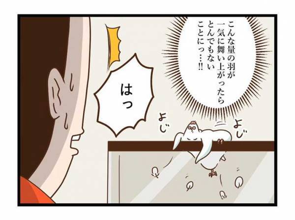 飼い主が愛鳥の『カゴ』を見て驚いたワケとは？　「笑った」「インコあるある」