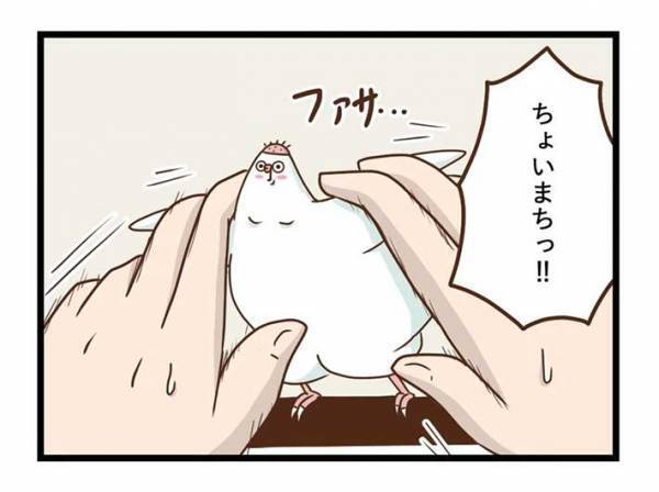 飼い主が愛鳥の『カゴ』を見て驚いたワケとは？　「笑った」「インコあるある」