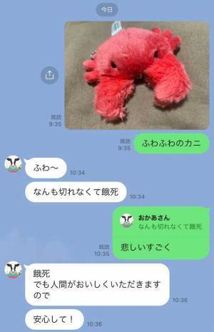 母親に『ふわふわのカニ』と送ったら？　返信に「韻踏んでて強い」「ジワジワくる」