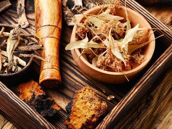 【『大奥 Season2』感想３話】玉置玲央と村雨辰剛、絶望がうかびあがらせる人の尊厳