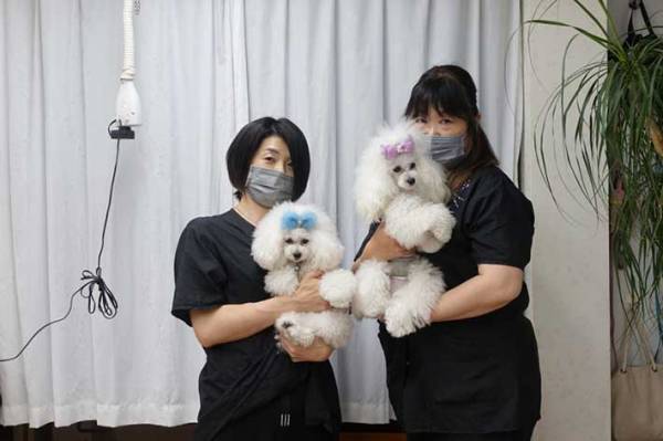 プロトリマーお勧め！　犬の抜け毛対策で活躍するブラシが、全部ほしくなる便利さ