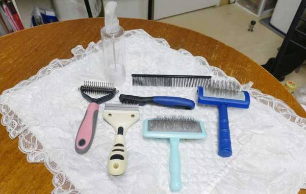 プロトリマーお勧め！　犬の抜け毛対策で活躍するブラシが、全部ほしくなる便利さ