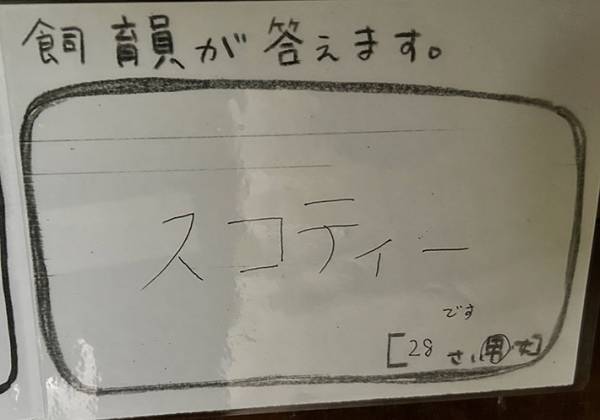 動植物園が『アライグマについての質問』を公開　飼育員の返答に「マジかよ！」