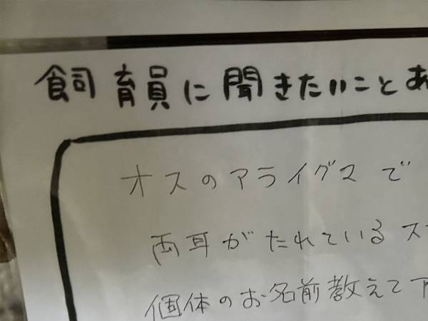 動植物園が『アライグマについての質問』を公開　飼育員の返答に「マジかよ！」