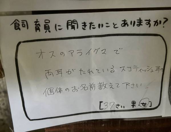 動植物園が『アライグマについての質問』を公開　飼育員の返答に「マジかよ！」
