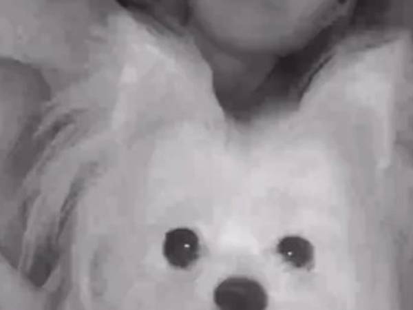 「ン～マッ！」　監視カメラに映った犬、『唇が人間』と話題に