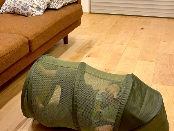 「お兄ちゃんが仕掛けた罠にかかる３歳児」　次男の姿に「愛おしすぎ」「笑った」