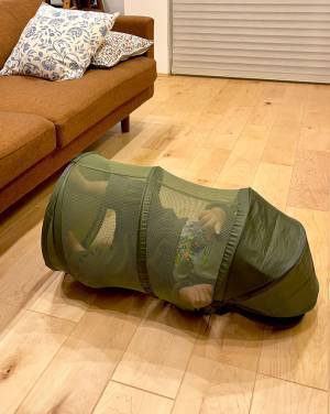 「お兄ちゃんが仕掛けた罠にかかる３歳児」　次男の姿に「愛おしすぎ」「笑った」