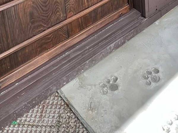 これなら迷わない！店先までの『誘導サイン』がキュートだと話題に