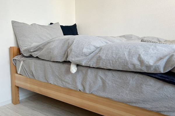 休日を満喫する飼い主と猫　違いが分かる写真に『いいね』集まる