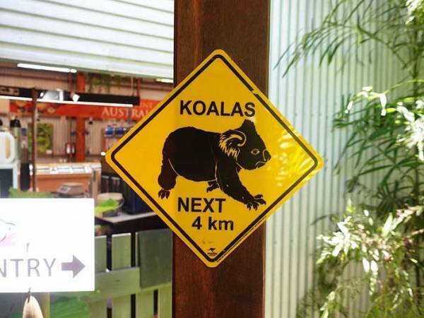 動物園の入口にある看板　４km先で目にした光景に「てっきり凶暴なのかと…」