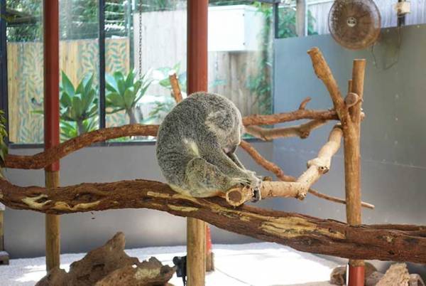 動物園の入口にある看板　４km先で目にした光景に「てっきり凶暴なのかと…」