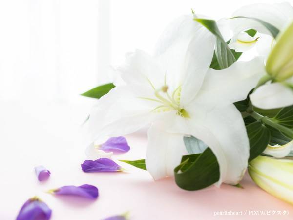 声優・一城みゆ希さんが逝去　『名探偵コナン』ジョディ・スターリング役で「大好きでした」の声