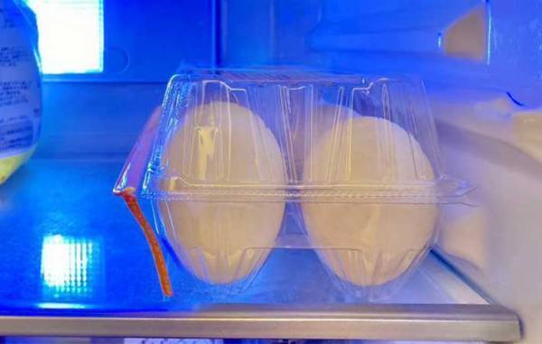 もうパカパカしない！　卵パックの意外な開け方に「ちょっと感動」「収納バッチリ」