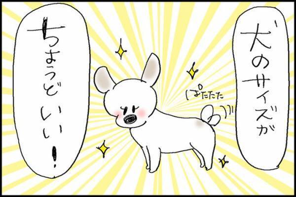 犬の散歩中、見知らぬおばあさんに「ちょうどいい」といわれた女性　疑問に思っていると…？