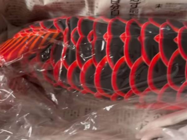 「夫婦でやられました」　出産祝いで届いた荷物に動揺！　生きた魚かと思いきや？