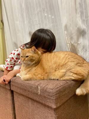すずつむふう（@kagisuzu0531）さんの娘さんに『猫吸い』をされるすずくんの写真