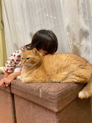 一点を見つめて座る猫　その後ろにいたのは…？
