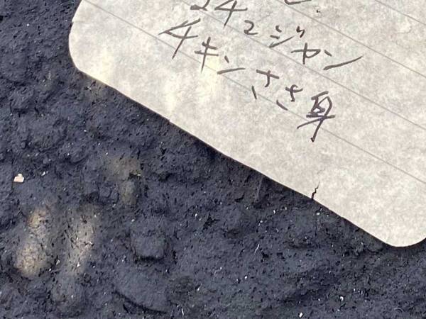 道端に落ちていた『買い物メモ』に、驚く女性　その理由とは…