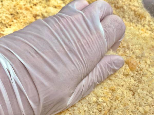 揚げ物で『上手に衣を付ける方法』　シェフの教える簡単４ステップが？