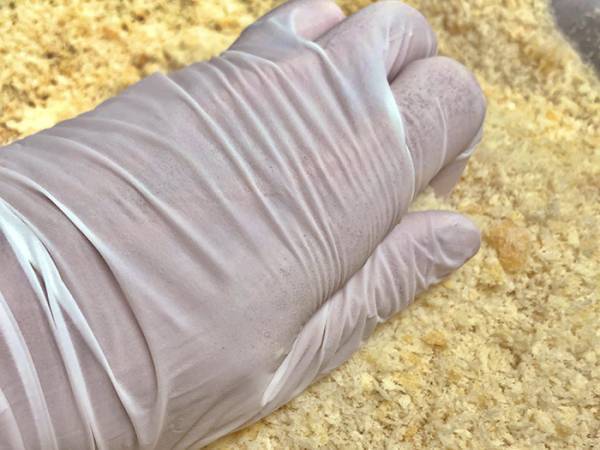 揚げ物で『上手に衣を付ける方法』　シェフの教える簡単４ステップが？