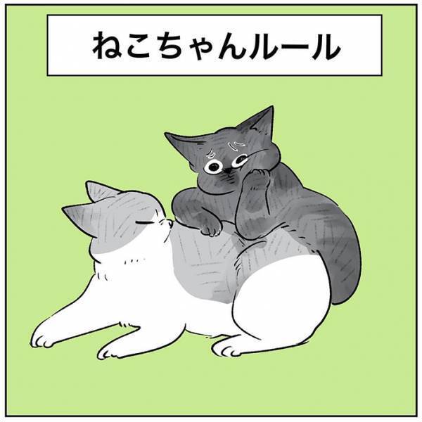 ケンカをする２匹の『暗黙のルール』　内容に「確かに」「いわれてみればそう！」