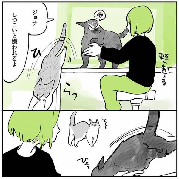 ケンカをする２匹の『暗黙のルール』　内容に「確かに」「いわれてみればそう！」