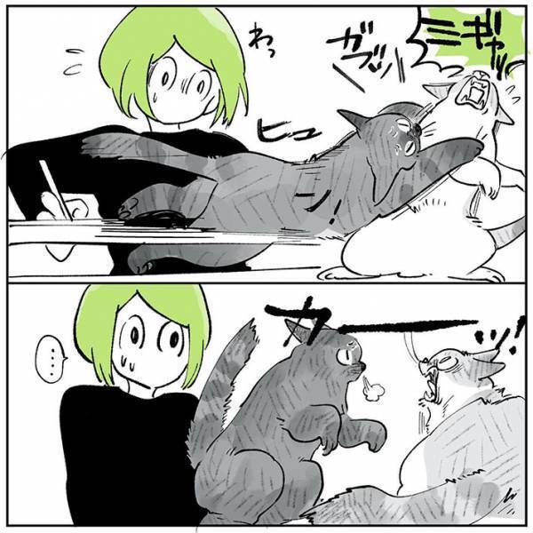 ケンカをする２匹の『暗黙のルール』　内容に「確かに」「いわれてみればそう！」