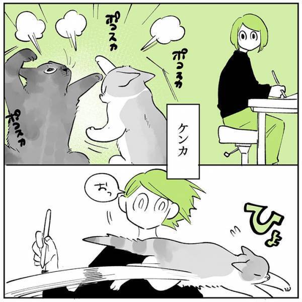 ケンカをする２匹の『暗黙のルール』　内容に「確かに」「いわれてみればそう！」