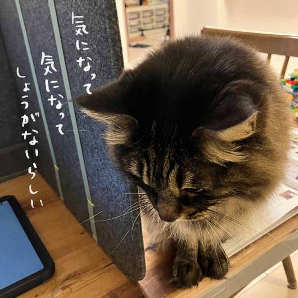 集中力が続かない女性　作業が捗るグッズを手に入れ、喜んでいると…？