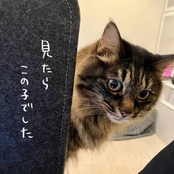 集中力が続かない女性　作業が捗るグッズを手に入れ、喜んでいると…？