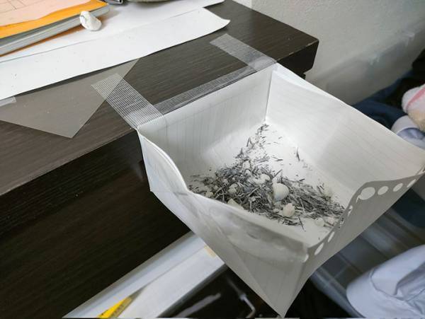 「設計ミスに笑った」「強く生きて」　消しカスを片付けたかった、大学生が失敗して？