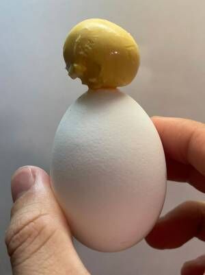 卵失敗写真